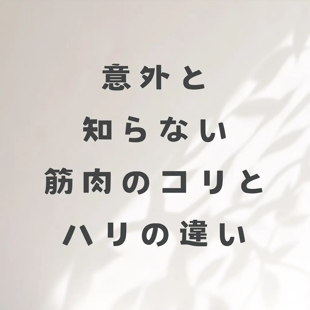 こんにちは♪